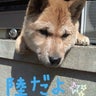 四葉のプロフィール