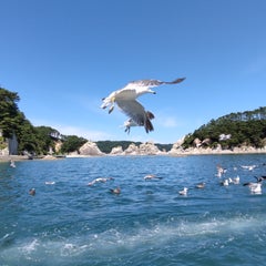 そらまめのプロフィール