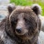 kumabear2023のサムネイル