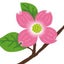 aromaweb-jpのサムネイル