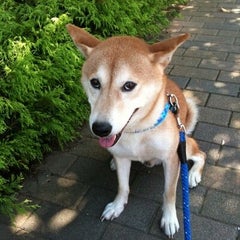 Saito-sanのプロフィール