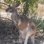 Momのサムネイル