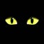 画像 闇猫の【毎週土日が仕事です！】のユーザープロフィール画像