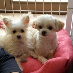 ととのプロフィール