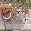 ☆千里☆のサムネイル