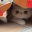 あちちのサムネイル