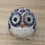 のんちゃんのサムネイル