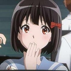 メジロサナエのプロフィール