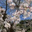 aksk2328のサムネイル