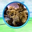 ボチボチ★ガツガツのサムネイル