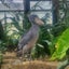 Minnieのサムネイル