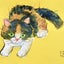 画像 動物と音楽の絵や陶芸を作っている　越川映子のブログのユーザープロフィール画像