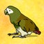 familiarrealのサムネイル