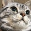 わたゆきのサムネイル