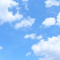 norarikurariのプロフィール