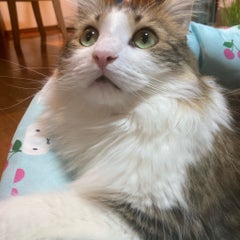 ゆきのプロフィール