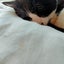 necoのサムネイル