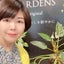 画像 岡山市中区・心と身体の植物セラピーのユーザープロフィール画像