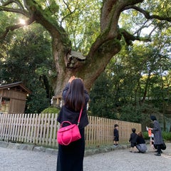 ＊家庭科の先生が考える 人生を豊かにするためのPOINT＊のプロフィール