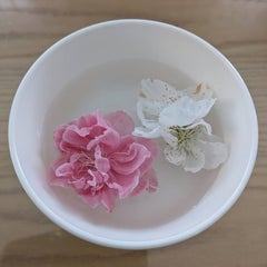 sakuragaのプロフィール