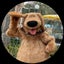 わん🐶のサムネイル