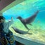 画像 全国の動物園水族館を制覇したい生き物大好きペコやんのブログのユーザープロフィール画像