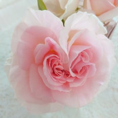 mikaのプロフィール