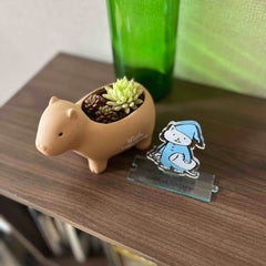 Himiのプロフィール