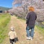 Cloosの日常ブログのサムネイル