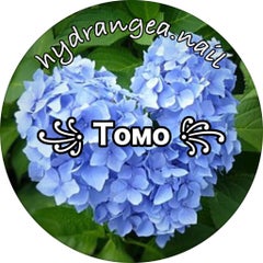 ꧁ 𝚃𝙾𝙼𝙾 ꧂のプロフィール