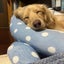 まーちゃんのサムネイル