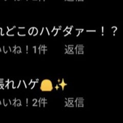 保木 矢亜のプロフィール