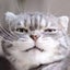 Nishikelのサムネイル