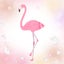 happyflamingoのサムネイル