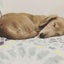 ノリーズのサムネイル