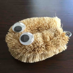たわしのプロフィール