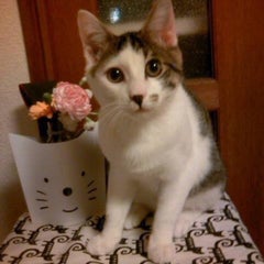 yukiのプロフィール
