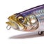 anglersbase1091のサムネイル