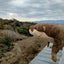 ハッピーのサムネイル