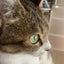 うのふのサムネイル