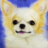 サクラ＆Toshiのプロフィール