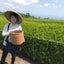yokkolifeのサムネイル
