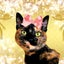 画像 錆猫の館のユーザープロフィール画像
