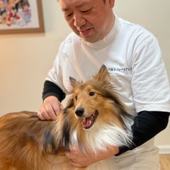 ashiyaseitaiのプロフィール