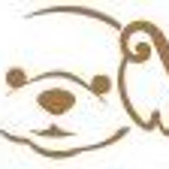 あねもねのプロフィール