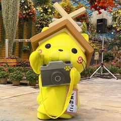 ゆずのプロフィール