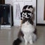 みーのサムネイル