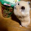 motojirouminamotoのサムネイル