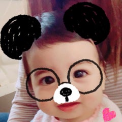 パルのプロフィール