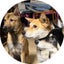 画像 愛犬♥️大・楽・快(だい・がく・かい)と腎移植のお話のユーザープロフィール画像